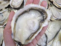 -板桥海鲜广场(文明东店)