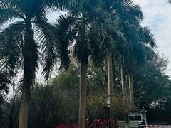 -仙岳公园