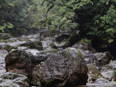 -龙苍沟森林公园