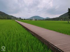 -艾米稻香小镇
