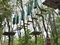 -大雁山风景区