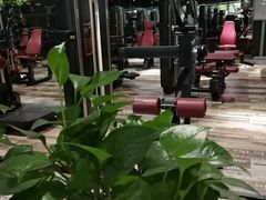 -梧桐阳光国际游泳健身会所(亚运村店)