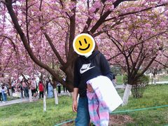 -西安青龙寺遗址景区