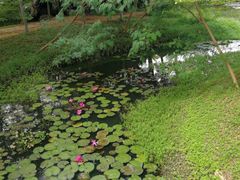 -白沙门生态公园