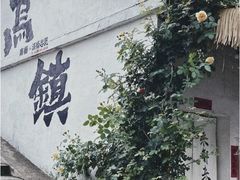 -乌镇景区
