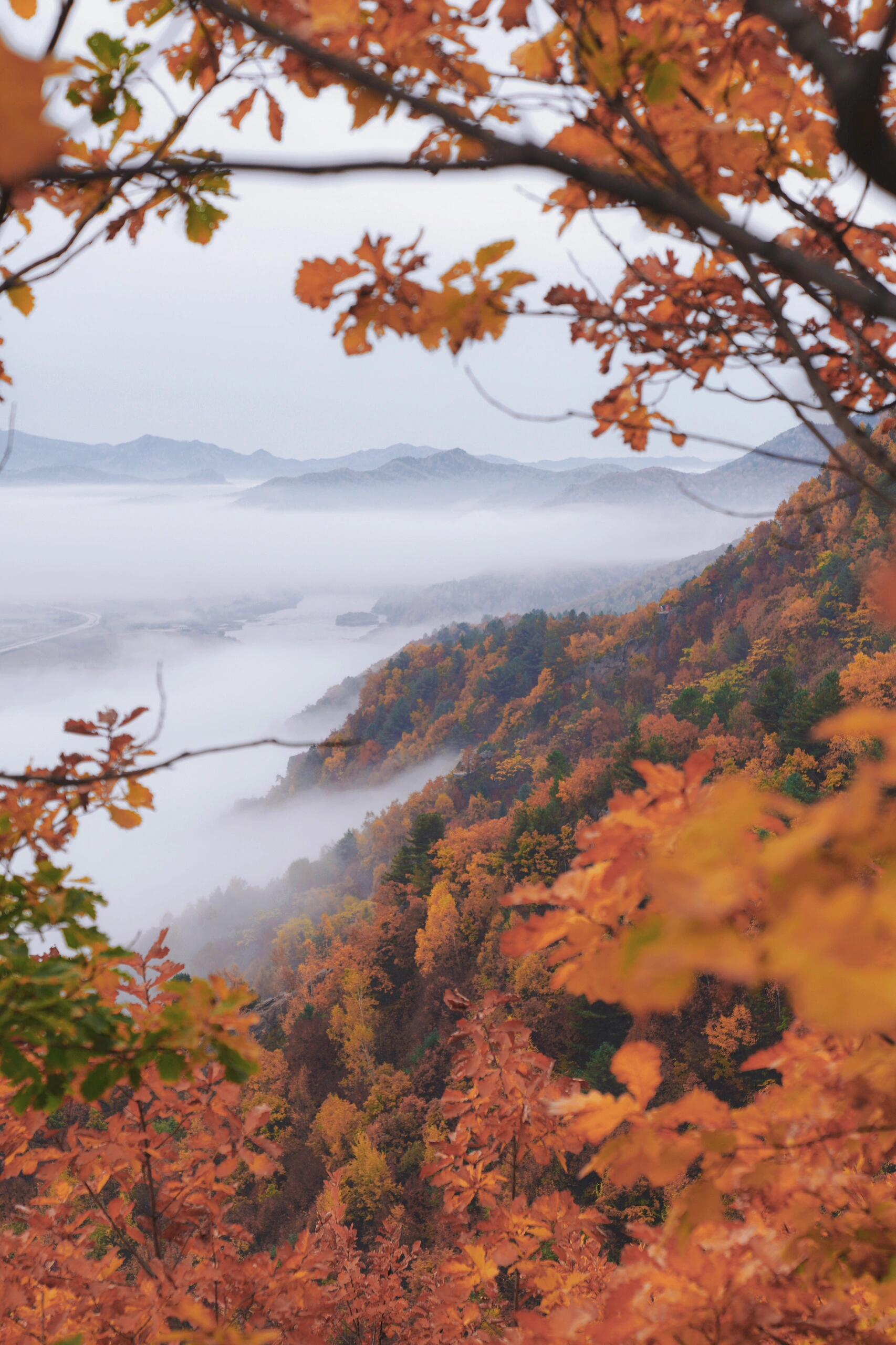 小兴安岭风景图图片