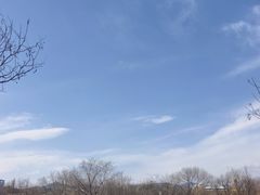 -滨河世纪广场公园