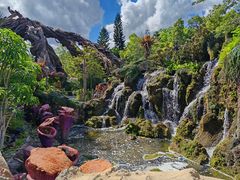 -奥兰多迪士尼动物王国乐园