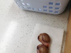 -联合动物医院(光谷诊疗中心)