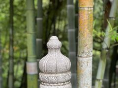 -灵隐飞来峰景区