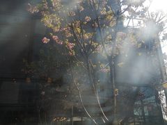 -麦田工坊(月湖店)