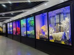 -游龙石文化科普馆