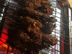 -清真·马峰烤肉(小学习北巷店)