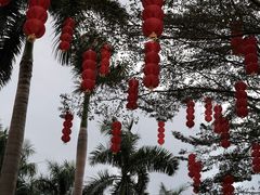 -香蜜公园