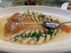 -骏莱海鲜鱼港(五角场店)