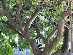 -嘉峪关城市博物馆