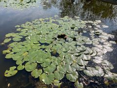 -天津东丽湖风景区