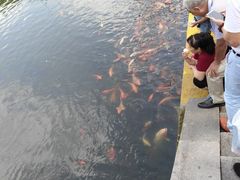 -绍兴鉴湖君澜大酒店