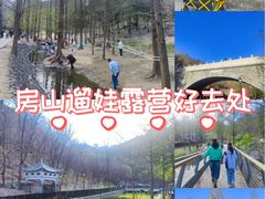 -白水寺森林公园
