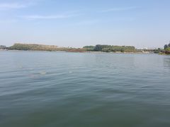 -丁香湖公园