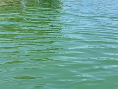 -济南国际园博园