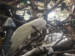 -长鹿旅游休博园