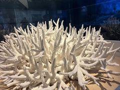 -天津自然博物馆