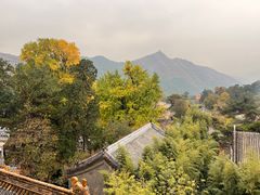 -潭柘寺景区