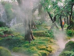 -Chom Cafe and Restaurant