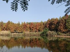 -厦门园林博览苑