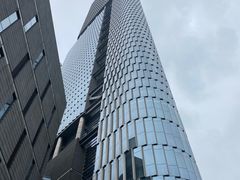 -紫峰大厦