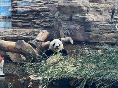 -石家庄市动物园