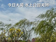 -天津水上公园