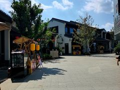 -雅达·阳羡溪山小镇中心