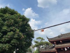 -塔子山公园