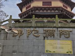 -博鳌禅寺