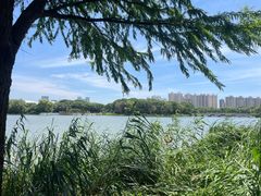 -昆山城市生态森林公园