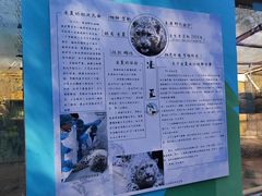 -青藏高原野生动物园
