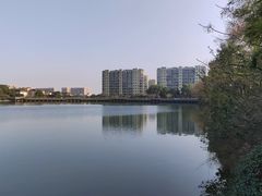 -杭州半山国家森林公园