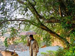 -杨家堂村