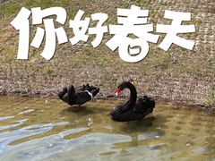 -河北省园博园
