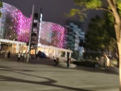 -吴越荣记苏州菜·松鼠桂鱼(月光码头店)