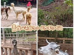 -昆明青龙峡风景区