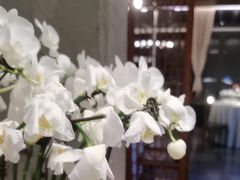 -明州小宴(文化广场店)