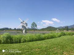 -北京东方普罗旺斯薰衣草庄园