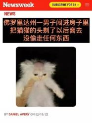 -小齐发型Star~salon