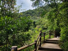 -马峦山郊野公园