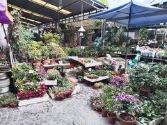 -曲阳花鸟市场(曲阳路店)