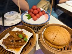 -点都德·毕德寮