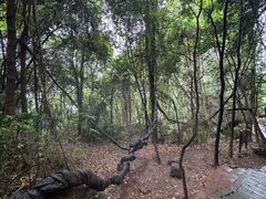 -窦圌山风景区